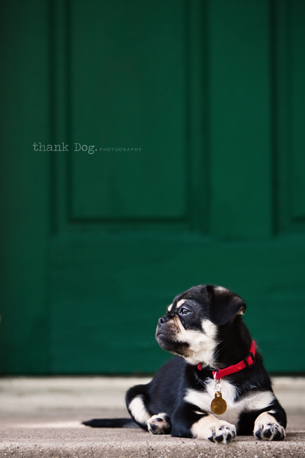 against-green-door