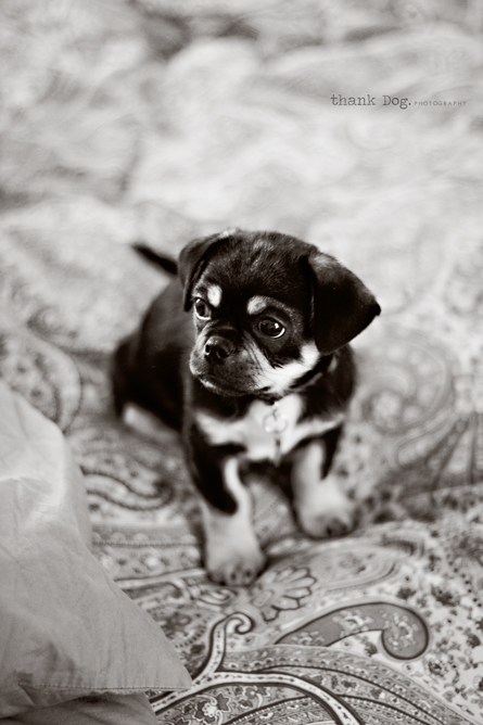 on-bed-in-bw