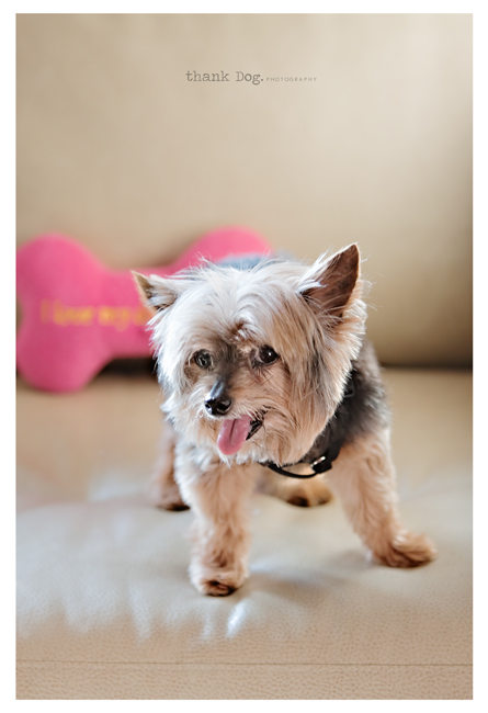 bonnie-and-bone