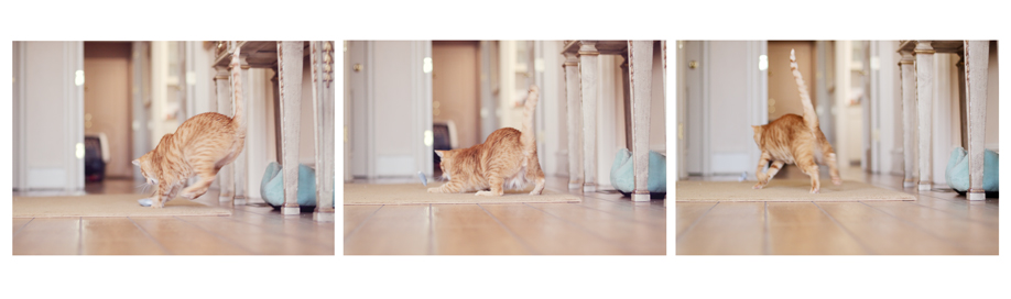 boris06