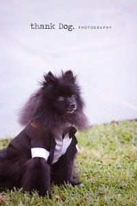 009-wuf wedding20100520