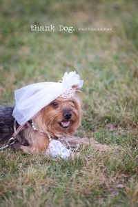 022-wuf wedding20100520