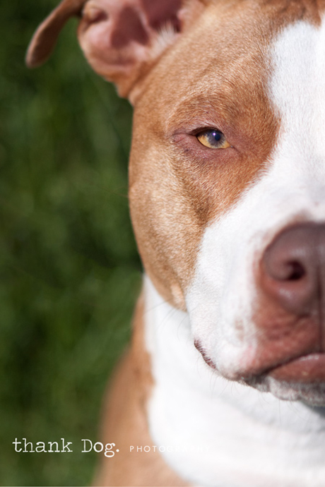 tyson09