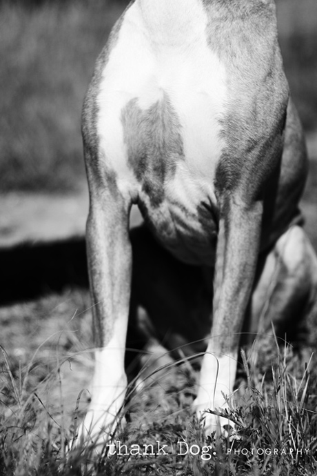 tyson11