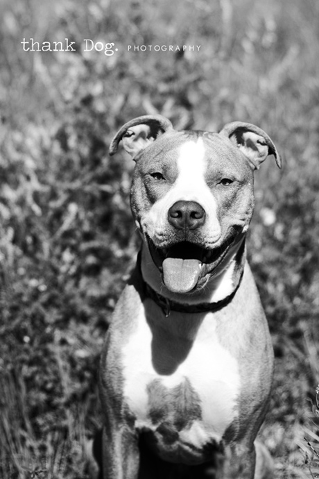 tyson12