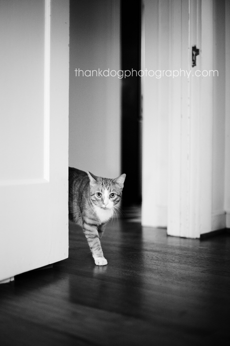 charlie06