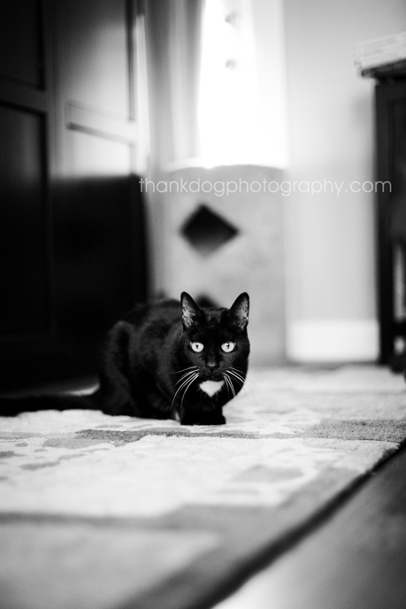 mischka03